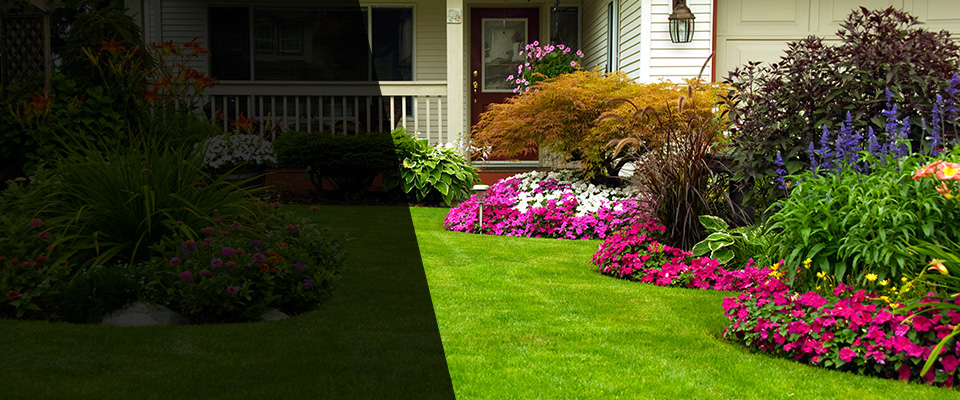 La Habra Landscapers
