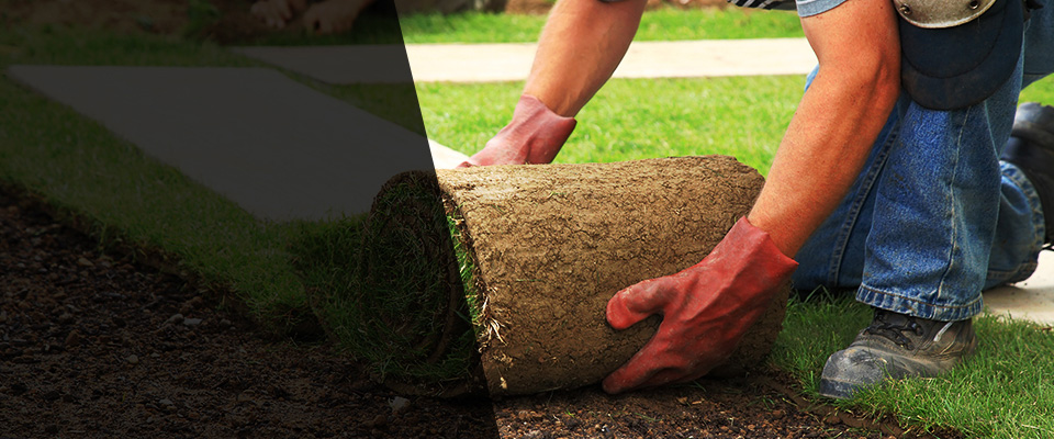 La Habra Landscapers